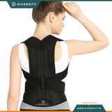 Deluxe Posture Belt